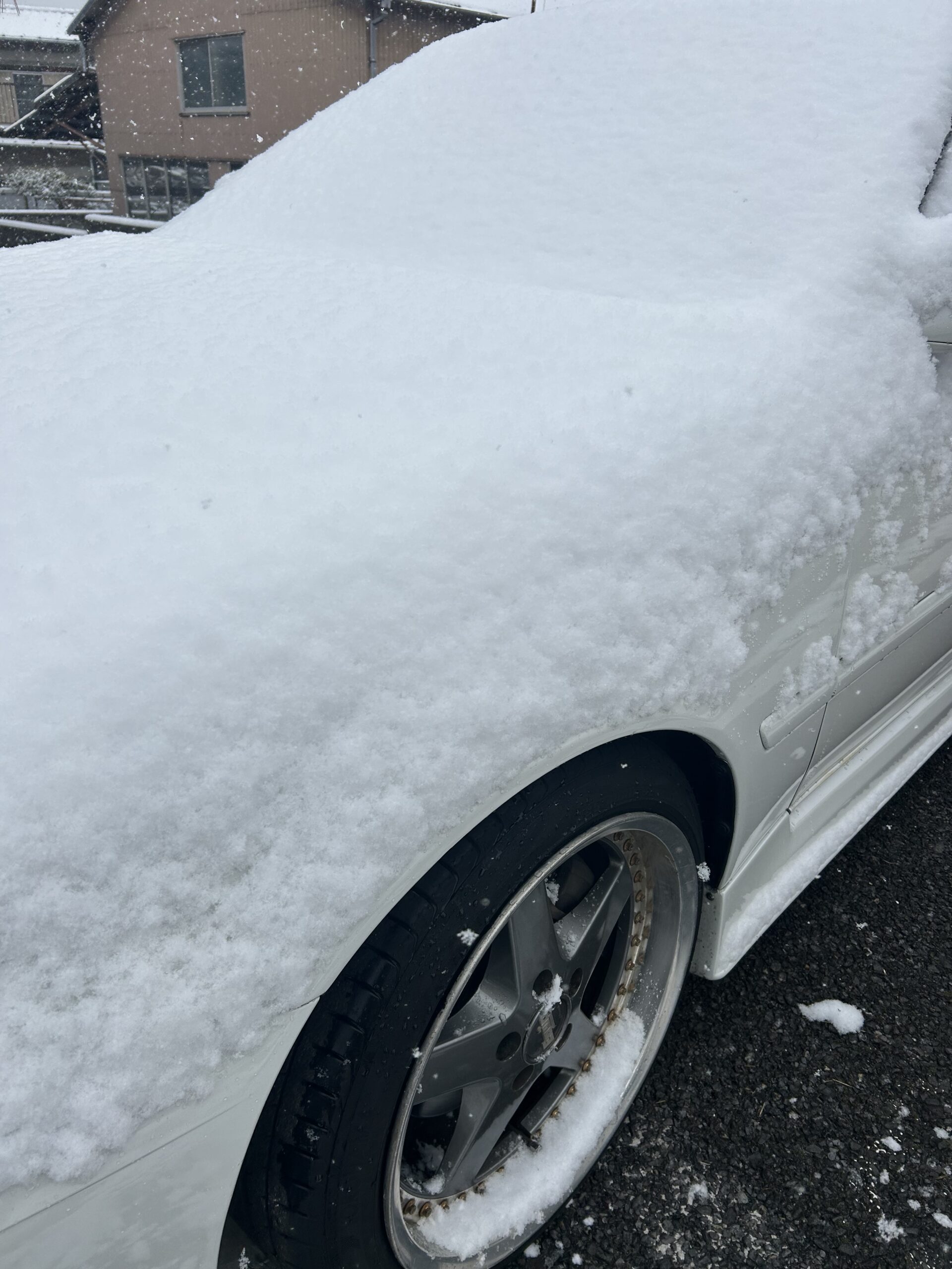 雪！ | T.U.C.GROUP L-TECH